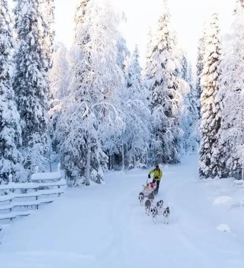 Winter & Polarlichter
